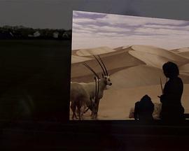 老婆万岁 封面图